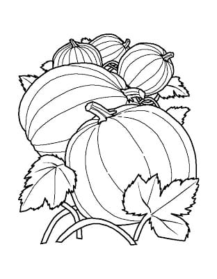 13 - Desenhos para Colorir Hallowen Imprimir