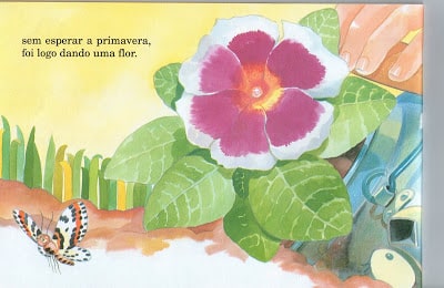 img151 - Livro Infantil Charalina