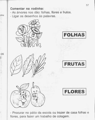 057 1 - Ciências - Atividades sobre as plantas