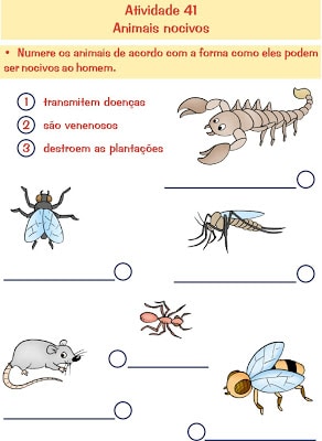 CIEN 1 PG50 - Atividades sobre Animais - Ciências