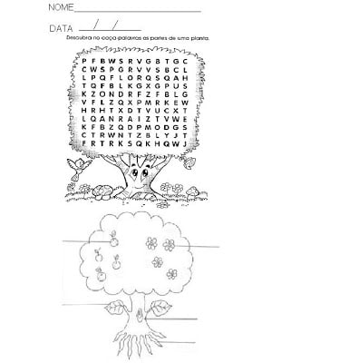 PARTES252520DA252520PLANTA - Ciências - Atividades sobre as plantas