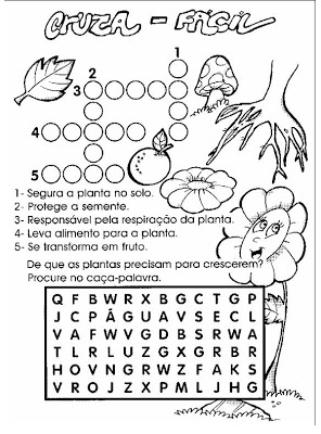 imagem31 - Ciências - Atividades sobre as plantas