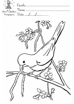 Desenhos para pintar primavera 29 - Desenhos para colorir sobre a primavera