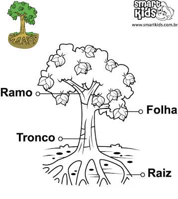 botanica partes arvore 1 - Atividades para o Dia da árvore