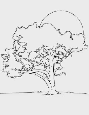 diadarvoreatividades10 - Atividades e desenhos para imprimir - Dia da Árvore 21 de Setembro