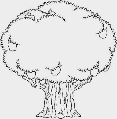 diadarvoreatividades11 - Atividades e desenhos para imprimir - Dia da Árvore 21 de Setembro