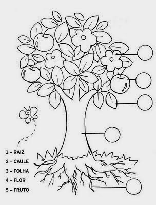 diadarvoreatividades18 - Atividades e desenhos para imprimir - Dia da Árvore 21 de Setembro