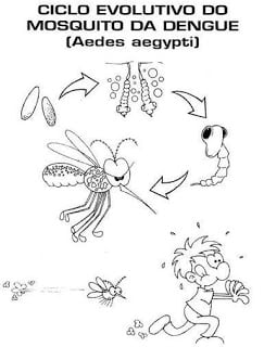 atividadessobreadengue332 - Dengue - Atividades para Imprimir