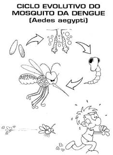 ciclovidadengue - Projeto sobre a Dengue - Atividades