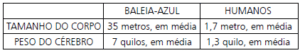 7 1 300x53 - Prova de Português 5° ano - Avaliação de Português