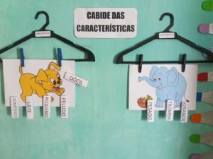 13342962 878950905584474 6377814172514107269 n 300x225 - Cabide das Características - Atividade Lúdica