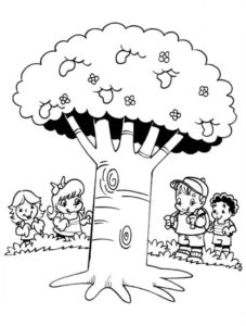 21 09DIADAÁRVORE 227x300 - Texto e Atividades sobre o Dia da Árvore - 21 de Setembro