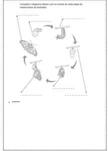 projeto 24 216x300 - A borboleta azul: Livro, atividades de compreensão e sequência didática