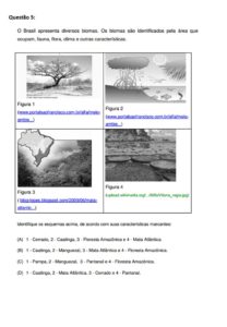 exercício ecossistema3 208x300 - Atividades sobre o Ecossistema para Imprimir