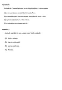 exercício ecossistema4 208x300 - Atividades sobre o Ecossistema para Imprimir