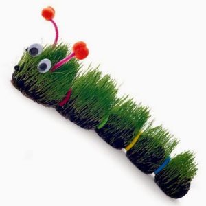 very hairy caterpillar craft photo 420 FF0403ALMFA04 300x300 - Boneco Ecológico para Educação Infantil